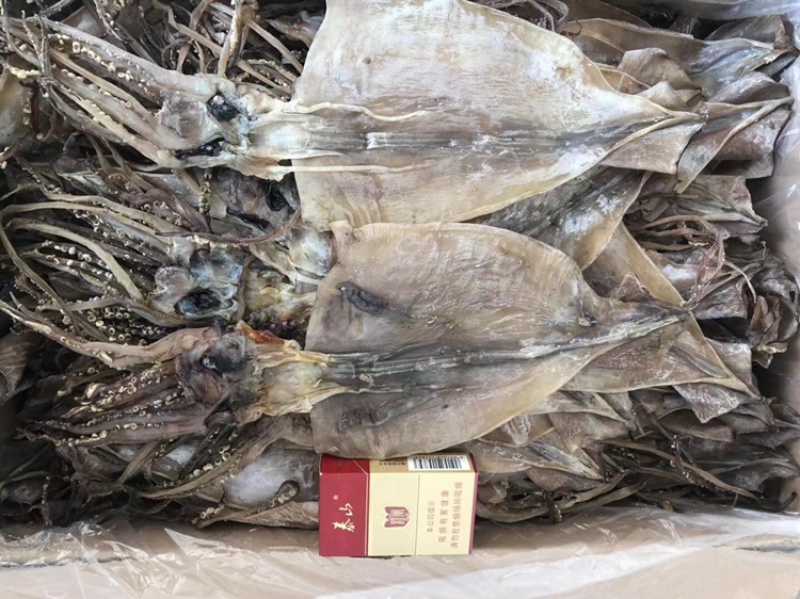 鱿鱼耳鱿鱼须鱿鱼片鱿鱼花