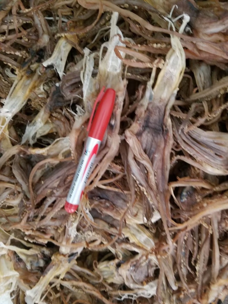 鱿鱼耳鱿鱼须鱿鱼片鱿鱼花
