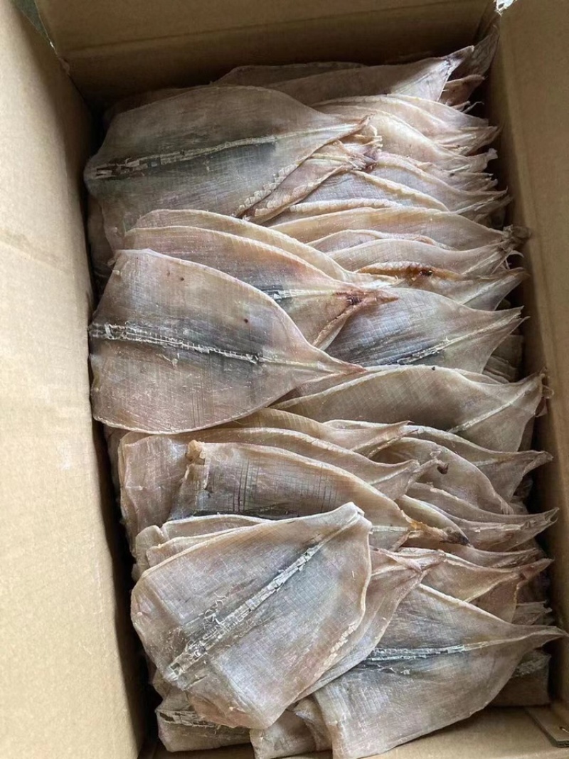 鱿鱼耳鱿鱼须鱿鱼片鱿鱼花