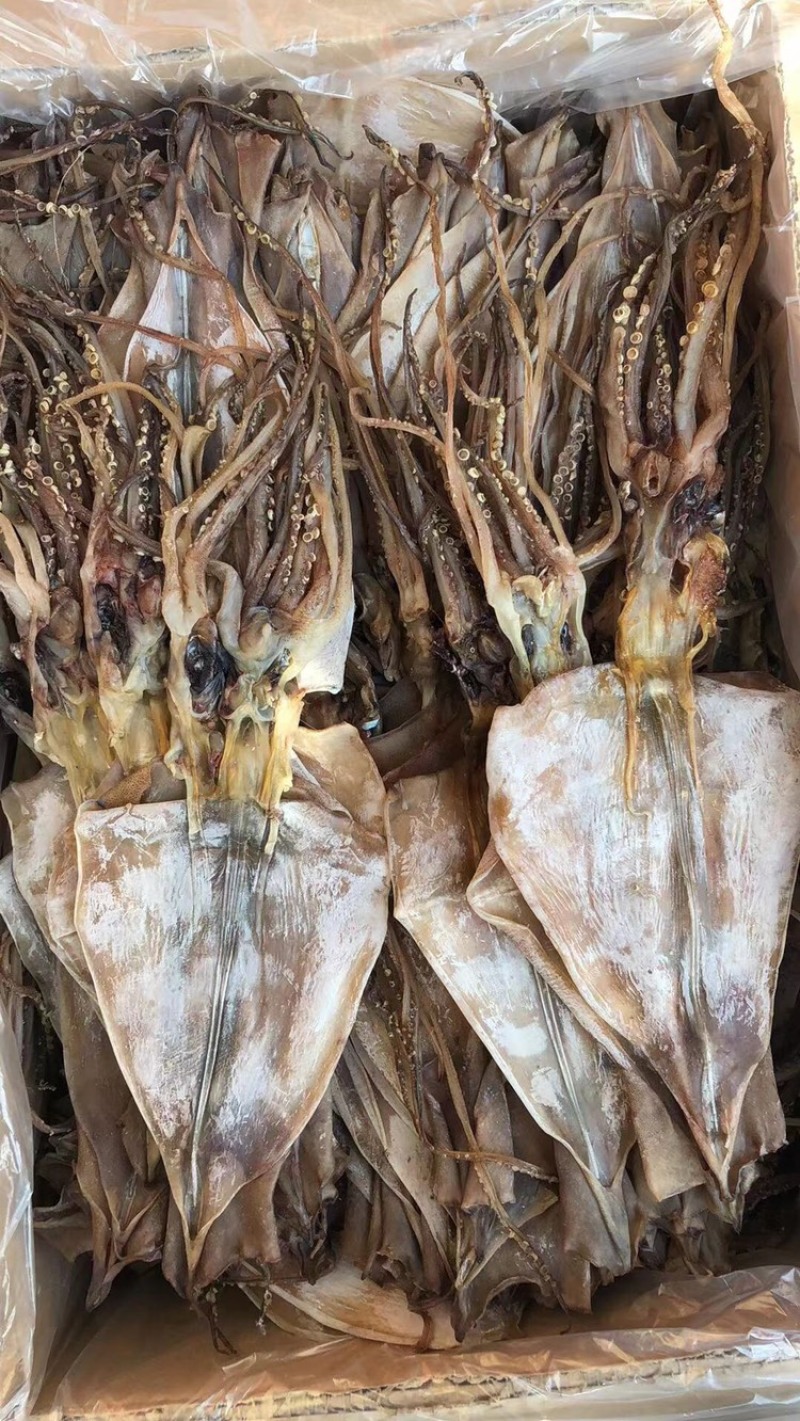 鱿鱼耳鱿鱼须鱿鱼片鱿鱼花