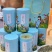 茉莉针王新茶苿莉花茶浓香耐泡香气清新500g支持线上障交易