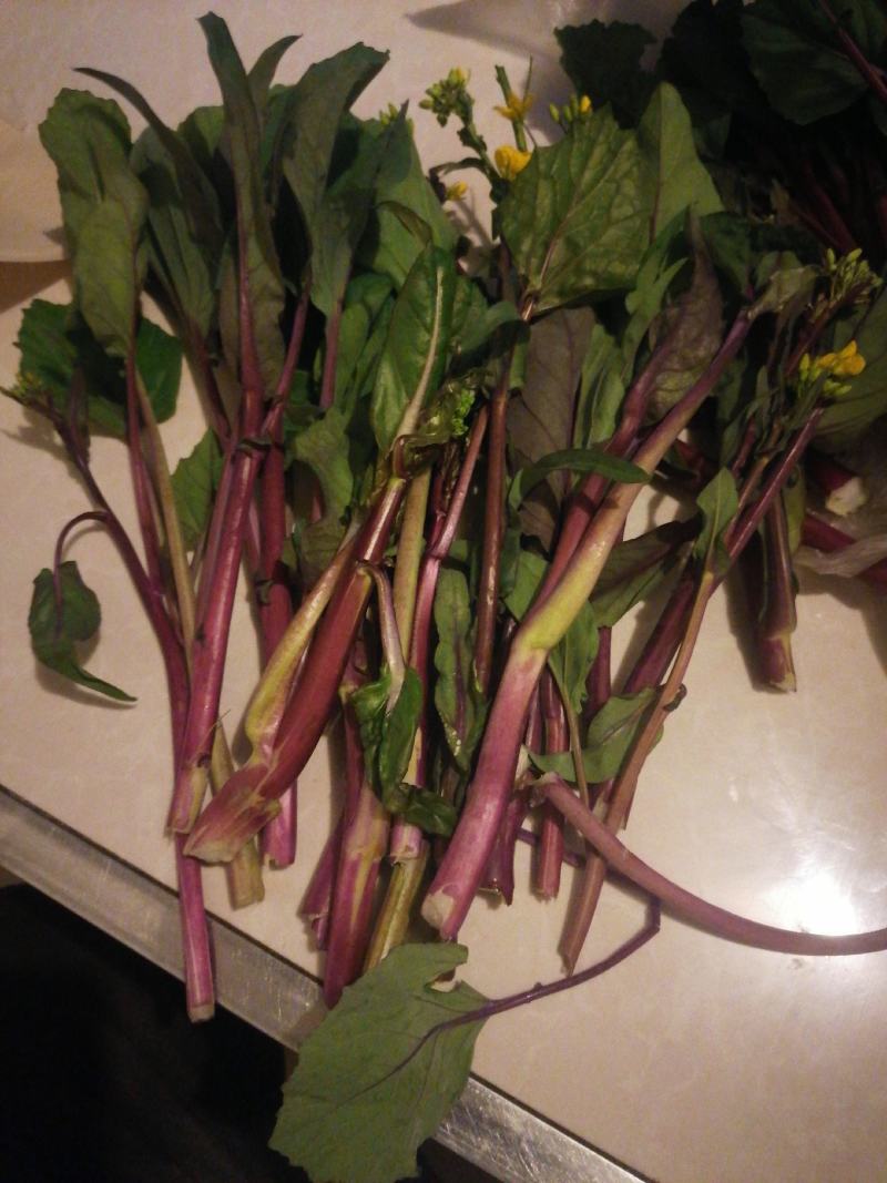 红菜苔地理直采物美价廉