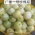 广西香瓜苗甜瓜苗广蜜一号银辉美农品种量大价优