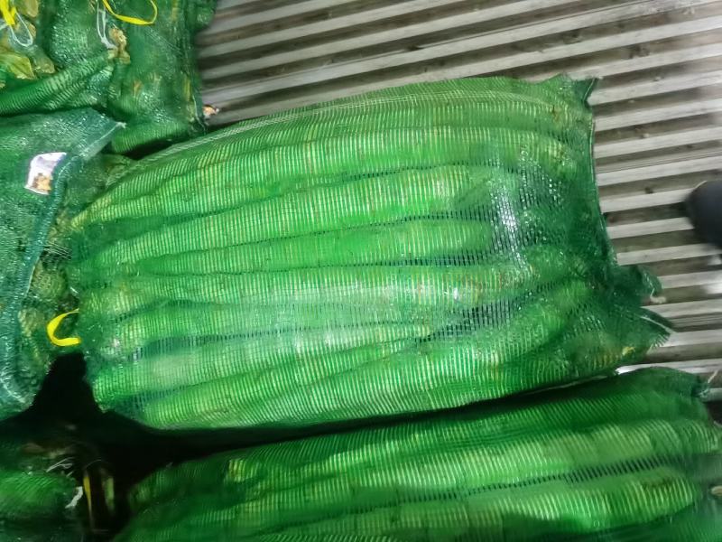 莴苣【云南精品莴苣莴苣杆子】新鲜莴笋热卖产地批发