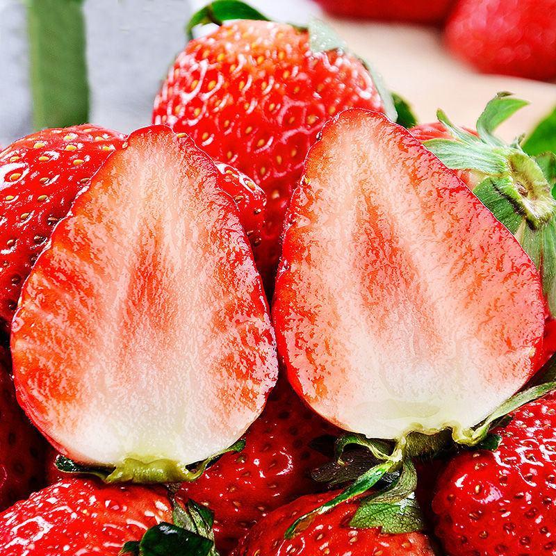 【包邮包赔】红颜牛奶9⃣9⃣草莓新鲜奶油孕妇甜水果