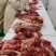 鲜马肉鲜驴肉纯干无注水精修去油订货现杀现宰大量供应！