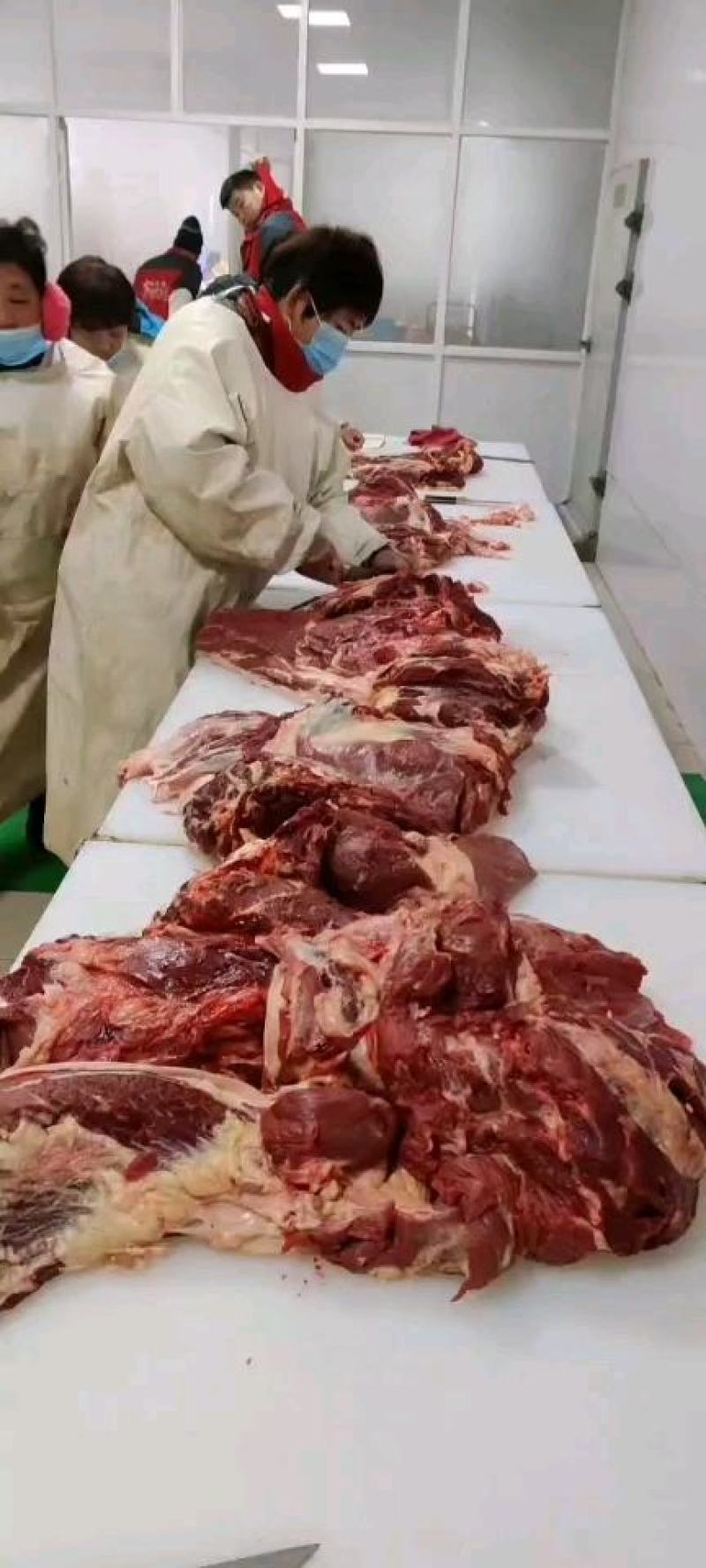 鲜马肉鲜驴肉纯干无注水精修去油订货现杀现宰大量供应！