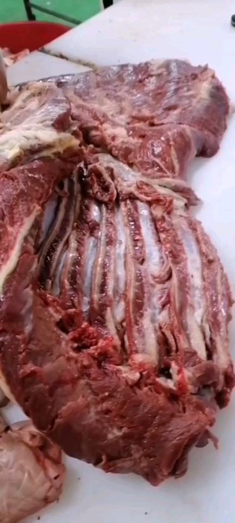 鲜马肉鲜驴肉纯干无注水精修去油订货现杀现宰大量供应！