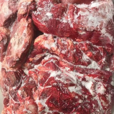 冻驴马肉五分体，四分体新日期带检疫发货颜色特