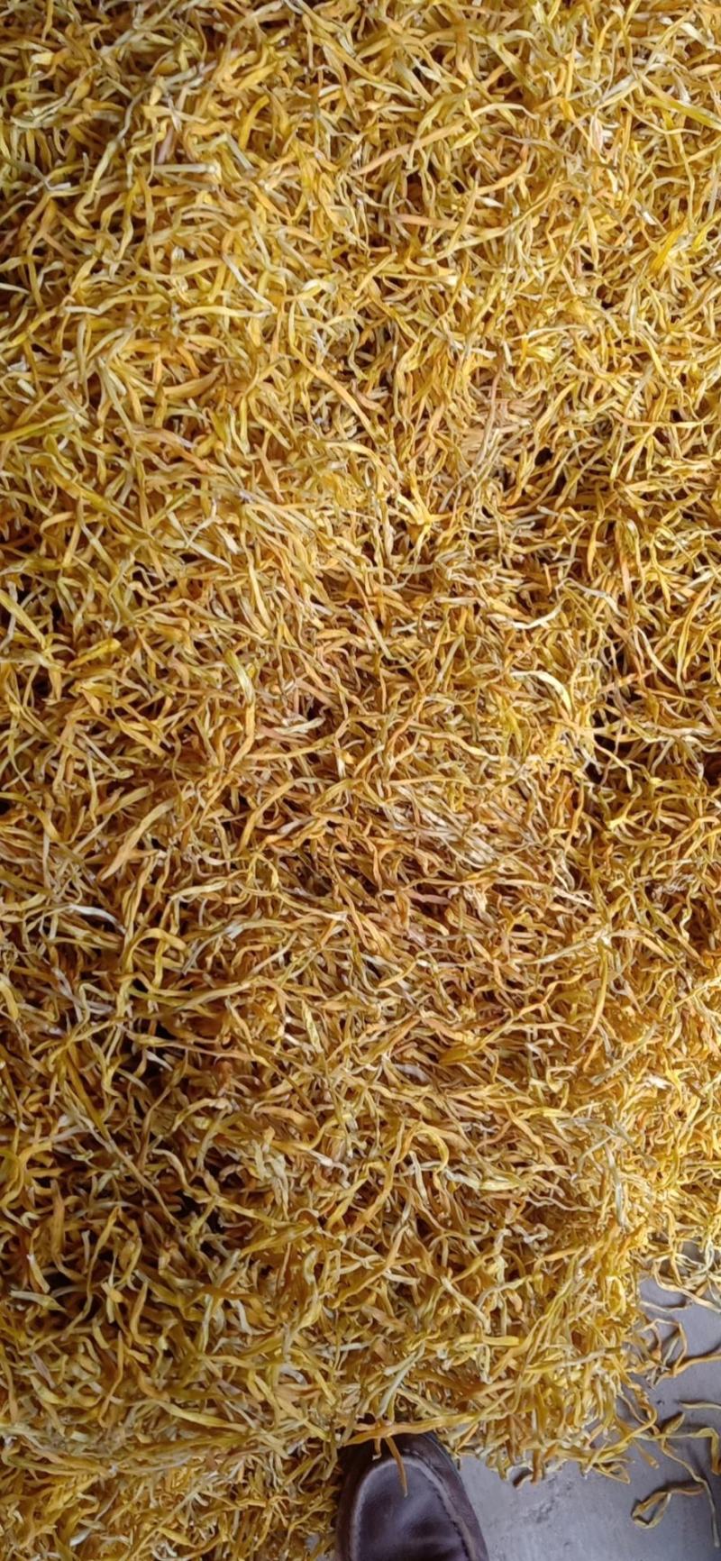 黄花菜大量现货批发，颜色好