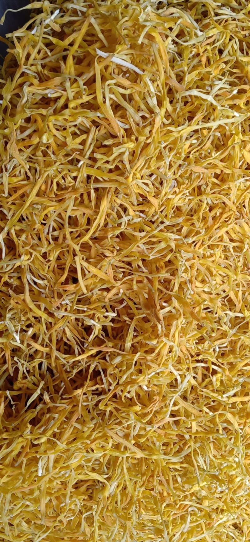 黄花菜大量现货批发，颜色好
