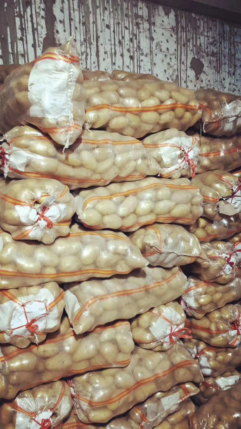 荷兰十五土豆山东土豆大量批发袋装箱装全国发货