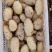 荷兰十五土豆山东土豆大量批发袋装箱装全国发货