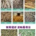 华亿兄弟家用养殖卧式铡揉一体机自动进料干湿俩用铡草揉丝机