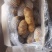青岛莱西土豆3两半通天无黑心