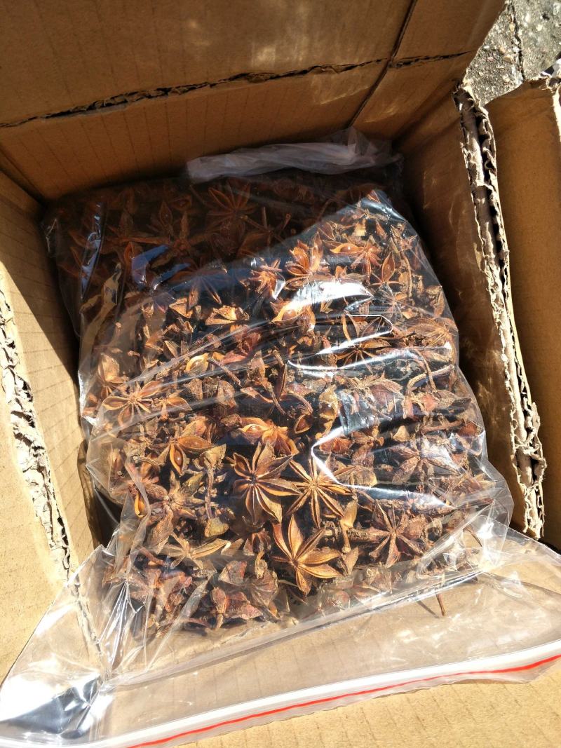 大红八角金秀大瑶山本地土品种高山八角五香茴香手工晒