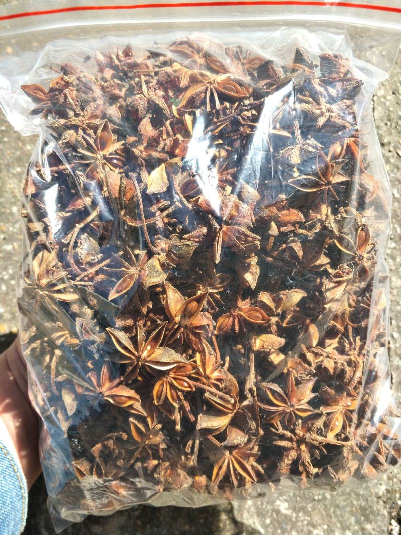 大红八角金秀大瑶山本地土品种高山八角五香茴香手工晒