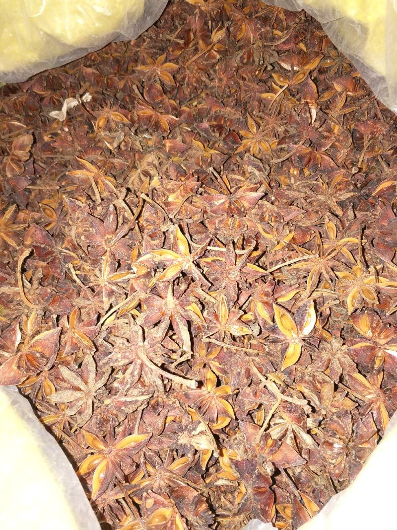 大红八角金秀大瑶山本地土品种高山八角五香茴香手工晒