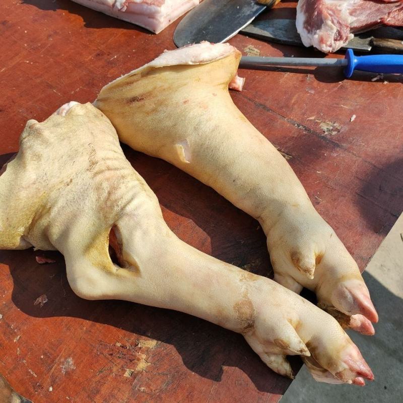 贵州新鲜前猪蹄猪脚整只后猪肘子猪蹄膀批发