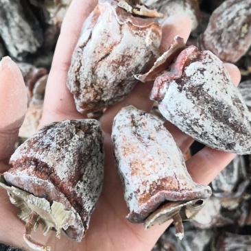 特级白霜尖头柿饼吊柿饼