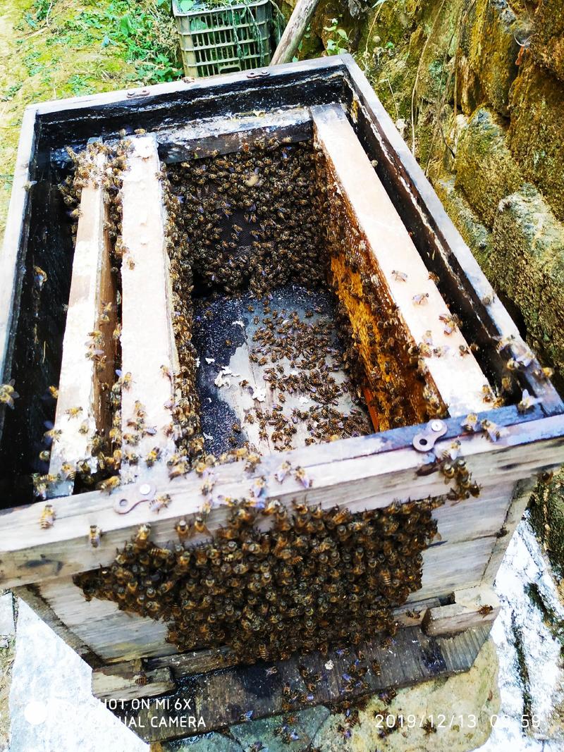 中蜂蜂蜜无勾兑无任何添加的冬密保质保量蜂场产销的产品