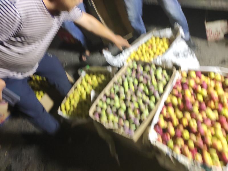 果树苗，各种果树肥，