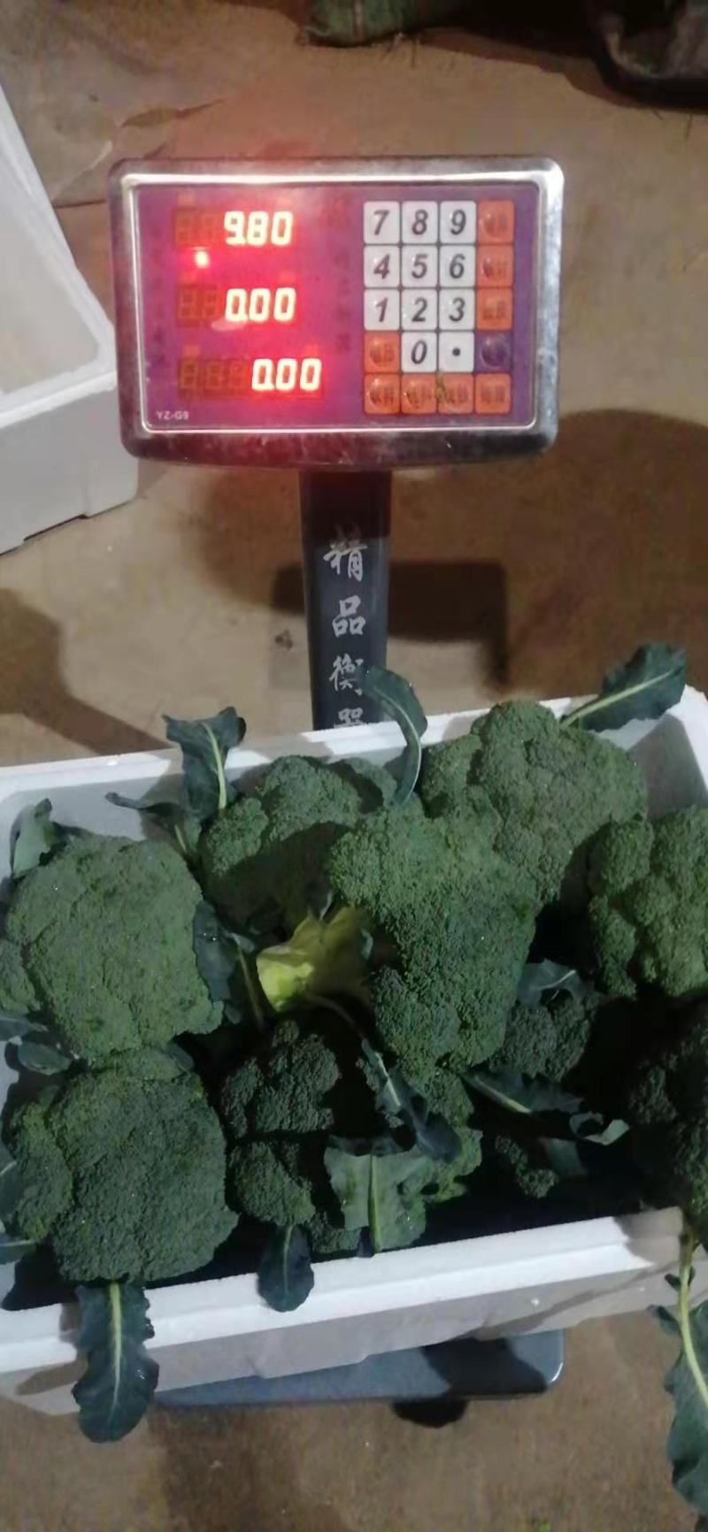 云南优质新鲜西兰花产地直供基地看货耐冻