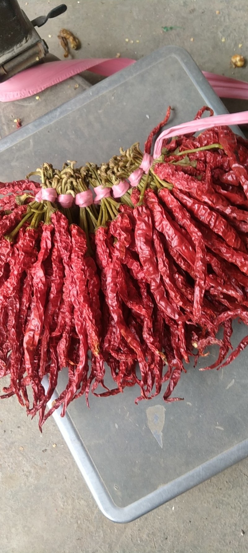 贵州省毕节市大方土特产皱椒线椒味道独特微辣特香炒菜火锅