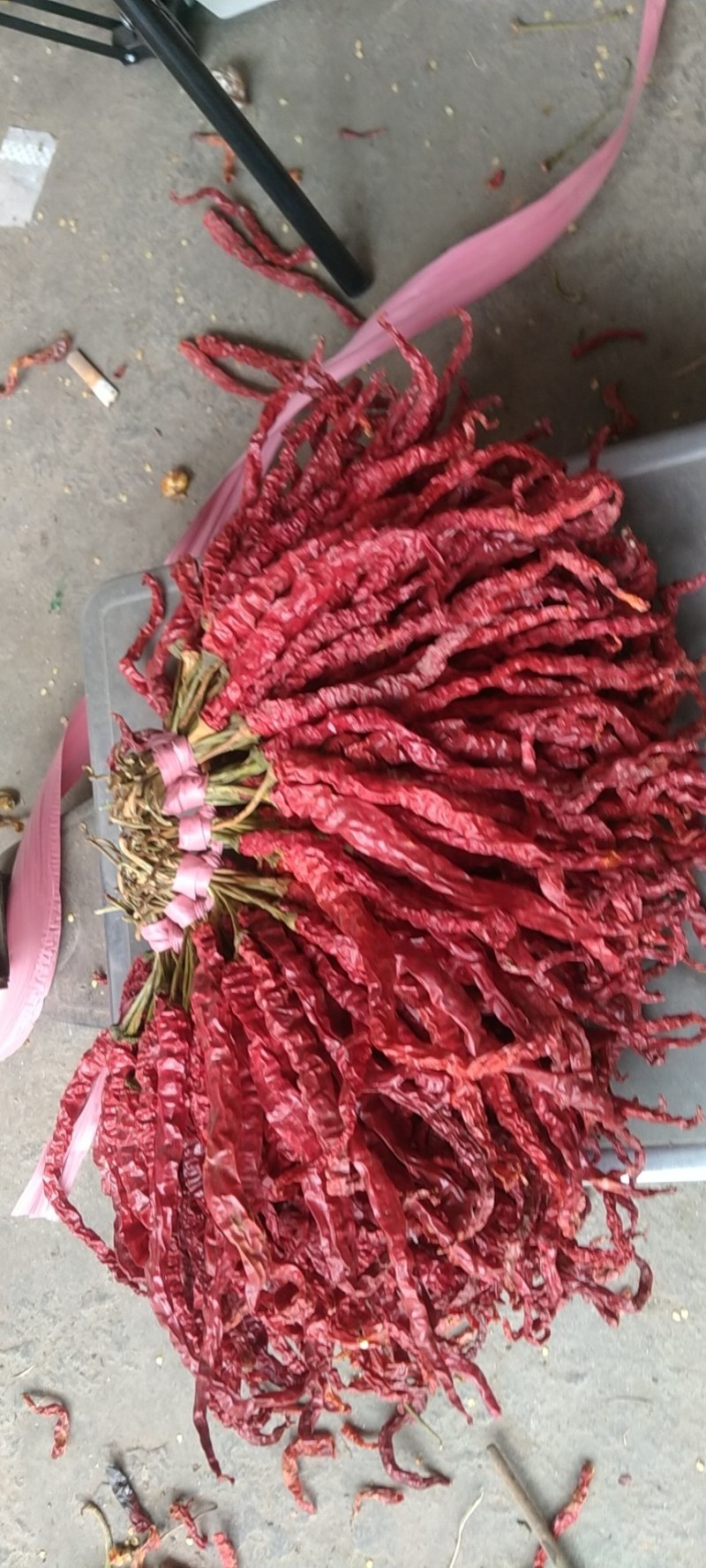 贵州省毕节市大方土特产皱椒线椒味道独特微辣特香炒菜火锅