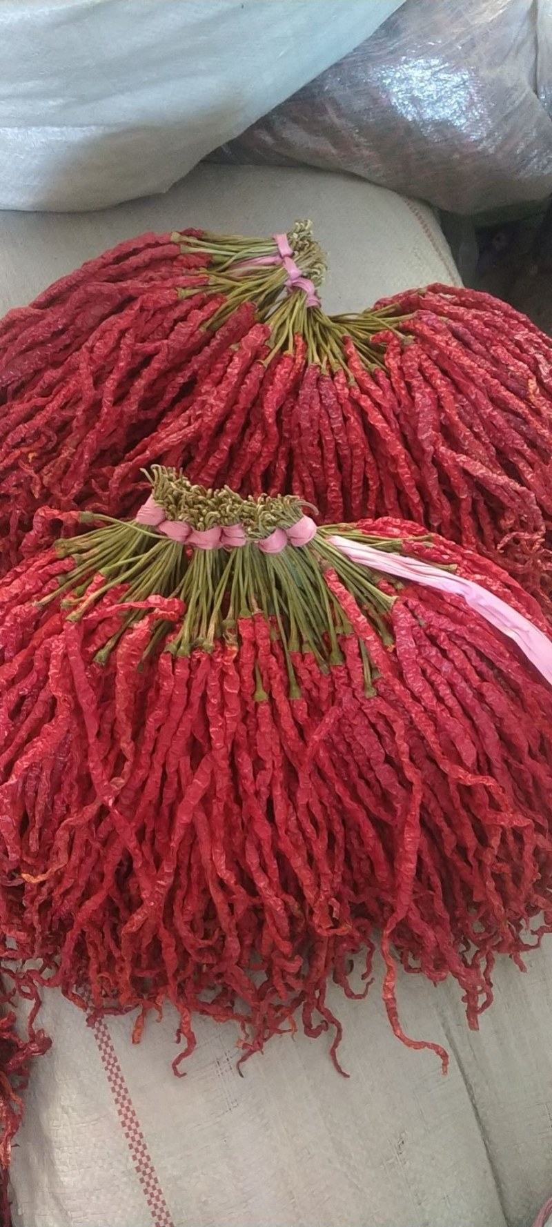 贵州省毕节市大方土特产皱椒线椒味道独特微辣特香炒菜火锅