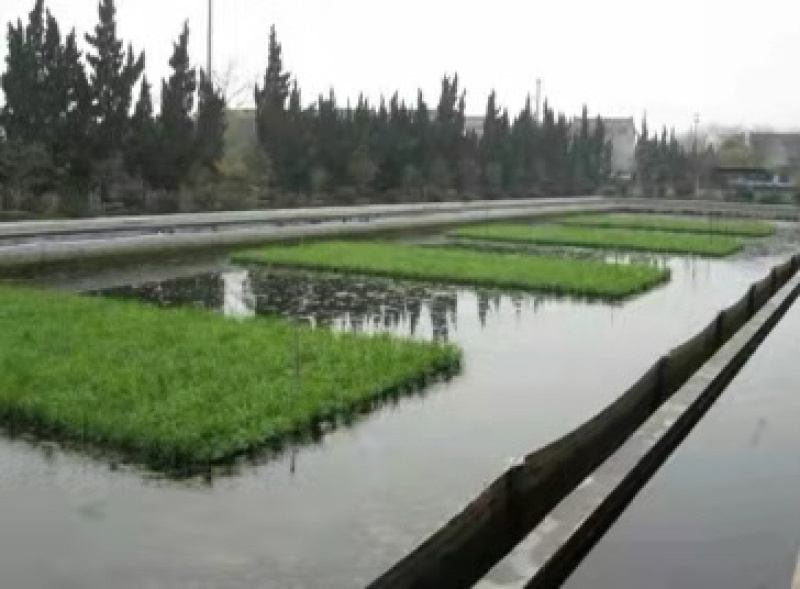 水生浮岛，水生浮床，销售种植专业组装队伍拼接