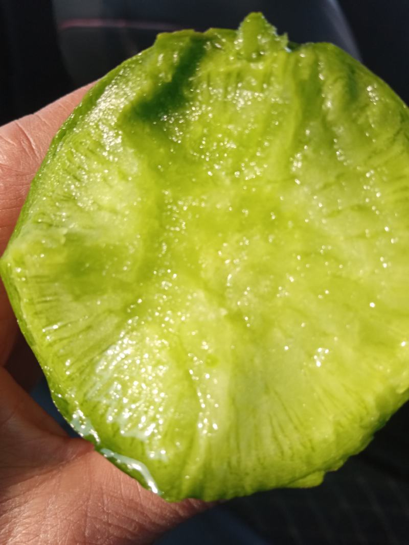 水果萝卜绿宝石，冷库存放，精挑细选，欢迎进店联系