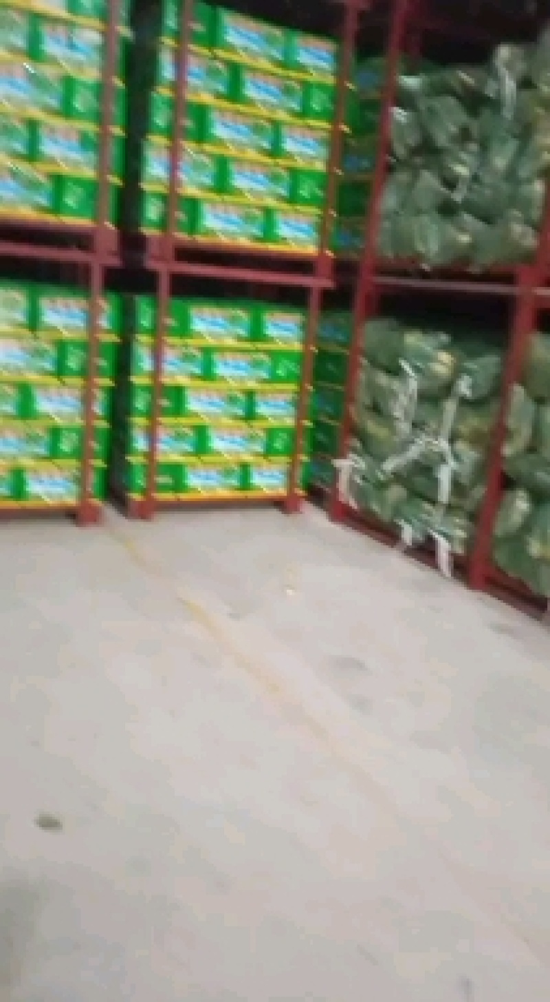 水果萝卜绿宝石，冷库存放，精挑细选，欢迎进店联系