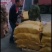 绿山农小黄粘玉米黑龙江特产