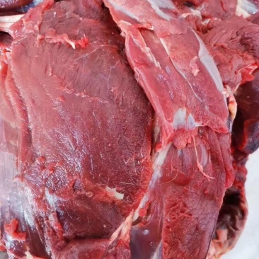 梅花鹿肉新鲜鹿肉节日礼品
