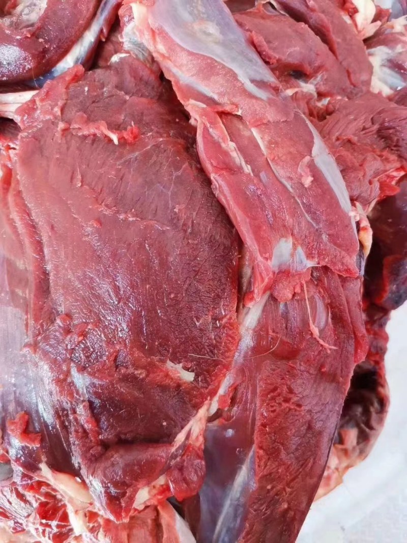 梅花鹿肉新鲜鹿肉节日礼品