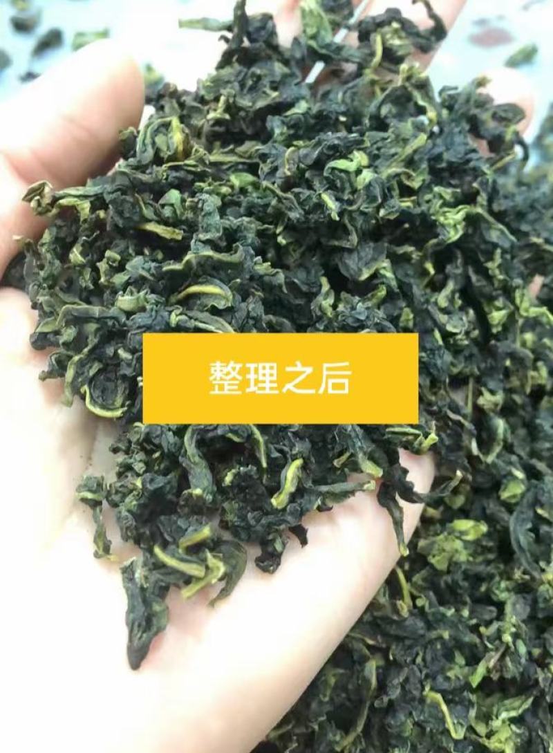 内安溪铁观音传统工艺制做