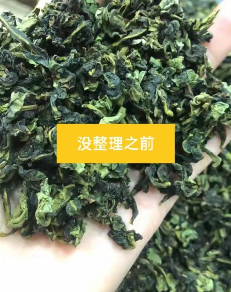 内安溪铁观音传统工艺制做