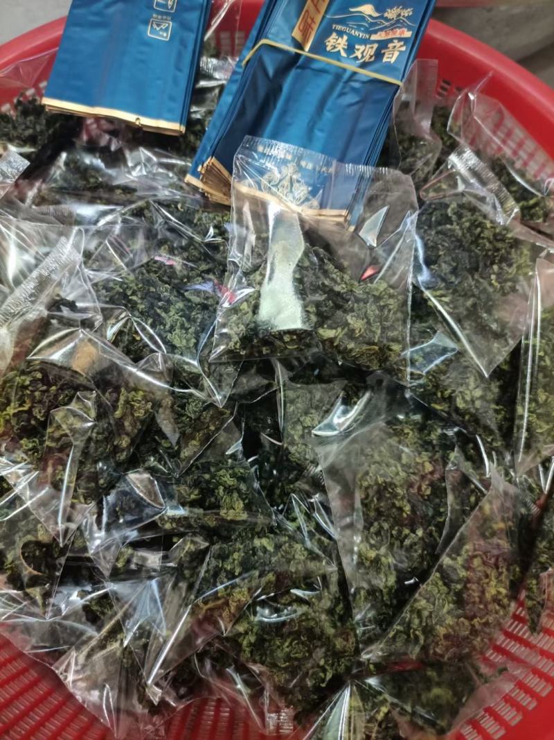 内安溪铁观音传统工艺制做