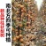 柱状梨树苗嫁接新品种秋月梨特大香梨早熟矮化梨树状南方北方