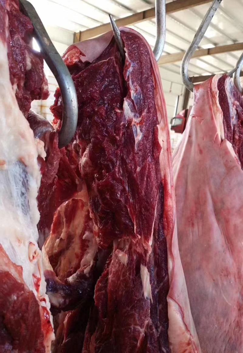 鲜驴肉！精修去油驴肉！肉质细腻，保证新鲜度！无注水纯干货