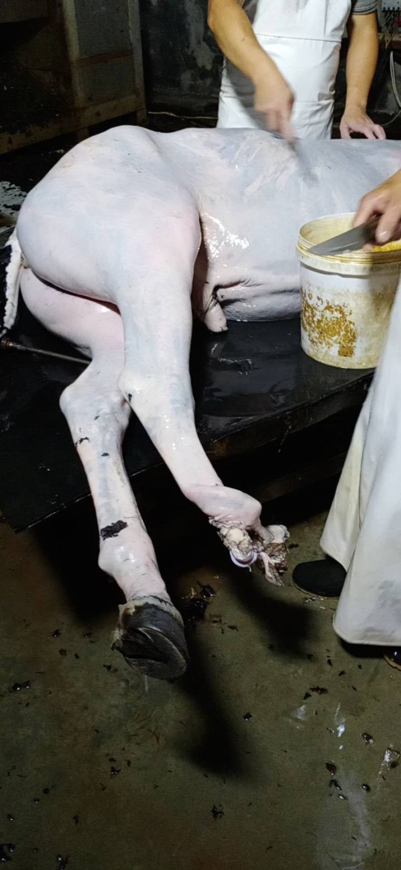 鲜驴肉！精修去油驴肉！肉质细腻，保证新鲜度！无注水纯干货