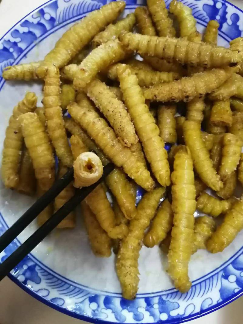 豆虫豆丹高蛋白大豆虫野生豆虫山货昆虫个大黄多营养丰富