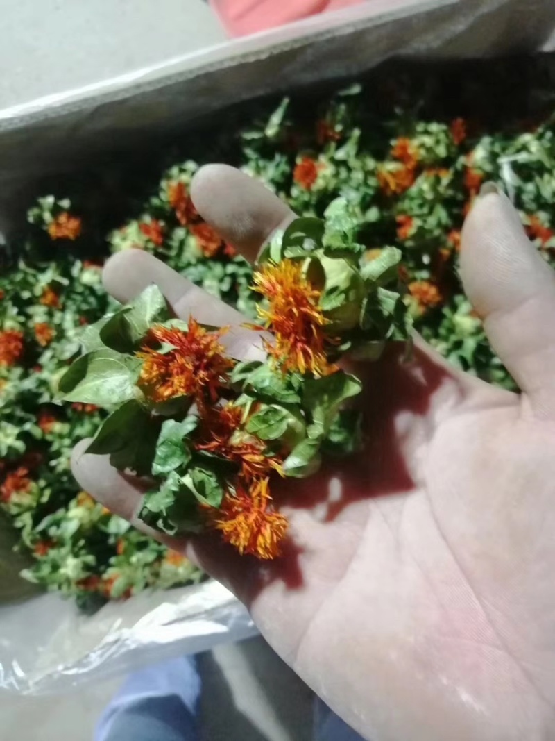 红花果红花头橙菠萝产地直销