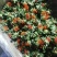 红花果红花头橙菠萝产地直销