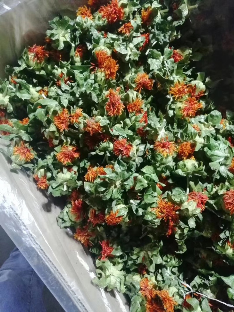 红花果红花头橙菠萝产地直销