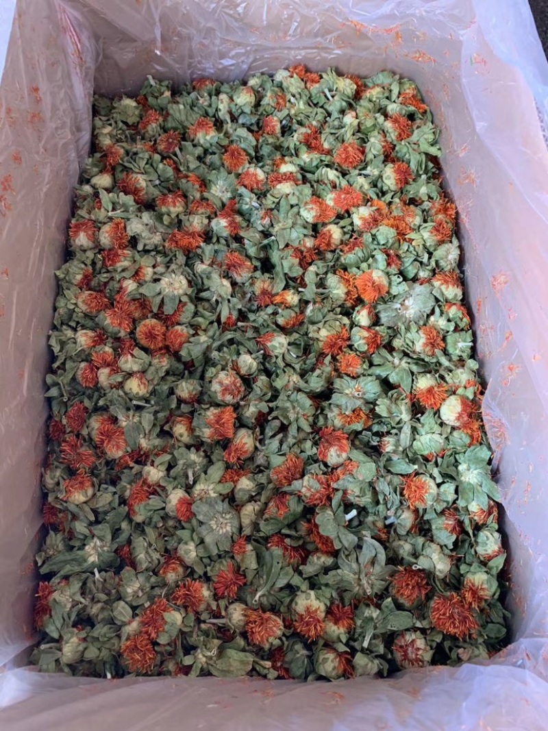 红花果红花头橙菠萝产地直销