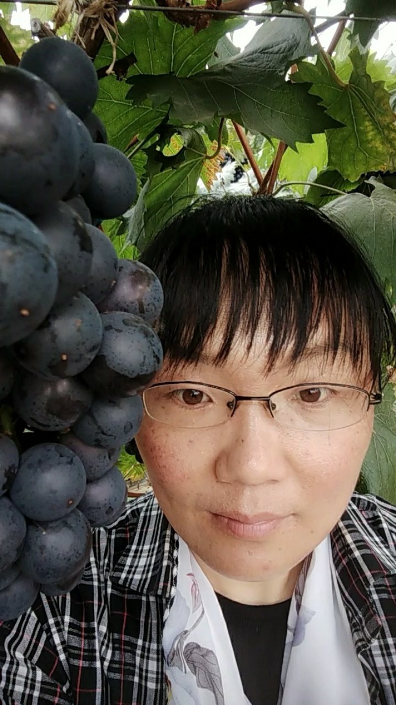 蜜光宝光葡萄(粒子大，糖度高，口感好，有浓郁的草莓香味)
