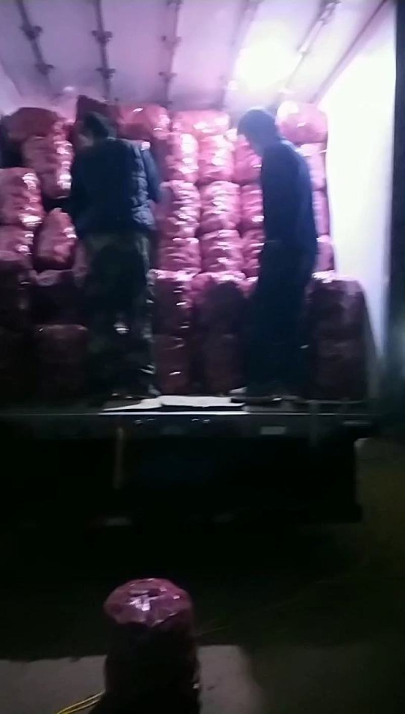 山东地瓜基地长期售龙九，品种纯口感香无丝甜可视频看货