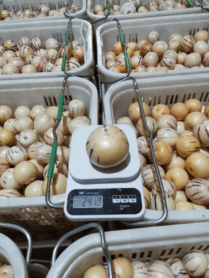 有冬天阳光蕴育，有足够的成熟周期，果味清甜。